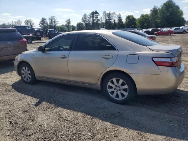 2007 Toyota Camry Hybrid