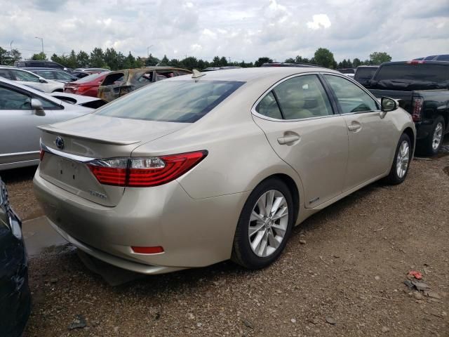 2014 Lexus ES 300H