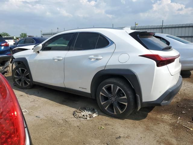 2020 Lexus UX 250H