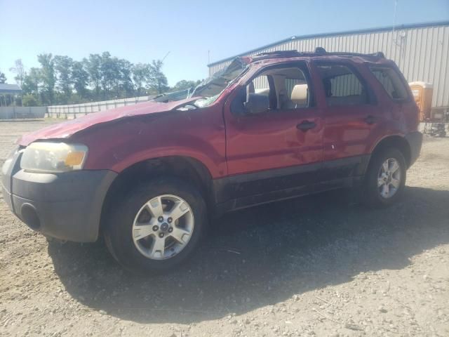 2007 Ford Escape XLT