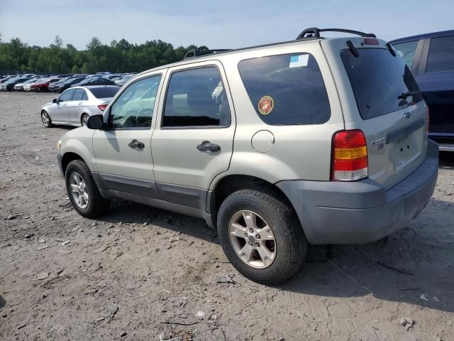 2006 Ford Escape XLT