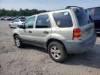 2006 Ford Escape XLT