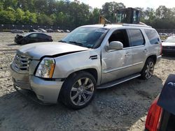 Salvage cars for sale at auction: 2010 Cadillac Escalade