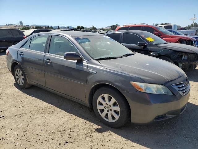 2009 Toyota Camry Hybrid