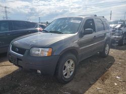 Ford Escape Vehiculos salvage en venta: 2003 Ford Escape XLT