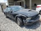 2005 Ford Mustang