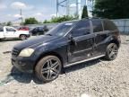 2006 Mercedes-Benz ML 350