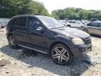 2006 Mercedes-Benz ML 350