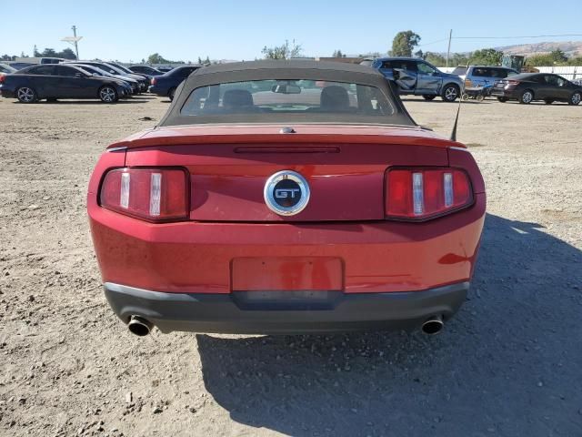 2010 Ford Mustang GT