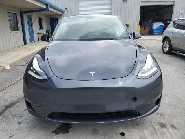 2020 Tesla Model Y