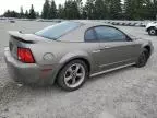 2002 Ford Mustang GT