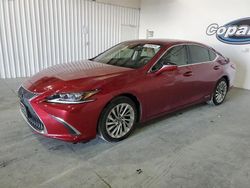 Carros dañados por granizo a la venta en subasta: 2019 Lexus ES 300H