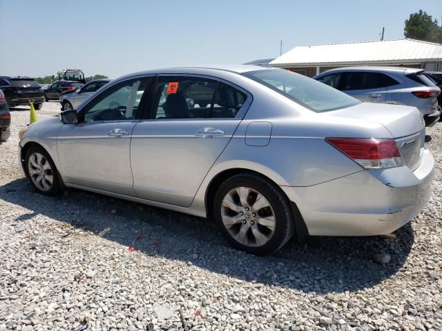 2010 Honda Accord EXL