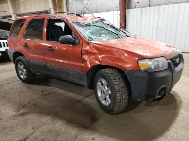 2006 Ford Escape XLT