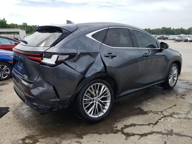 2023 Lexus NX 350