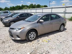 Salvage cars for sale at Lawrenceburg, KY auction: 2016 Toyota Corolla ECO