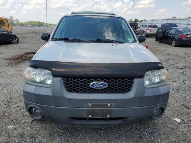 2005 Ford Escape XLT