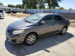 Salvage cars for sale at Sacramento, CA auction: 2010 Toyota Corolla Base