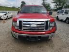 2009 Ford F150