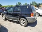 2005 Ford Escape XLT