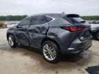 2023 Lexus NX 350