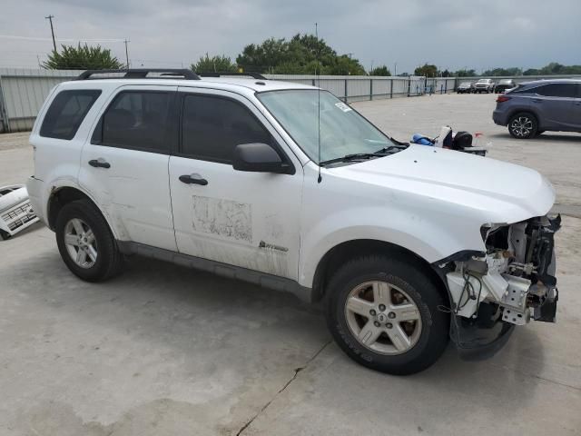 2009 Ford Escape Hybrid