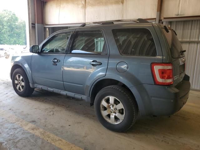 2011 Ford Escape Limited