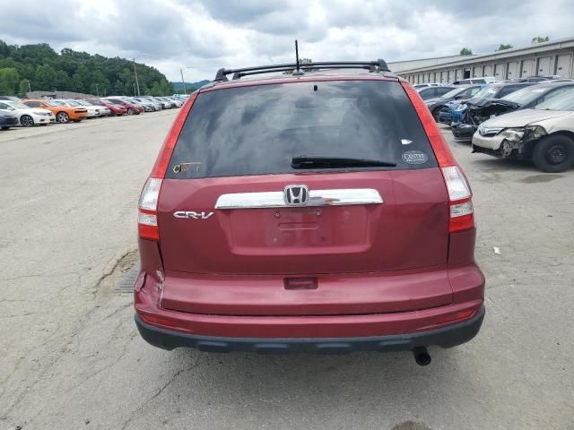 2010 Honda CR-V EXL