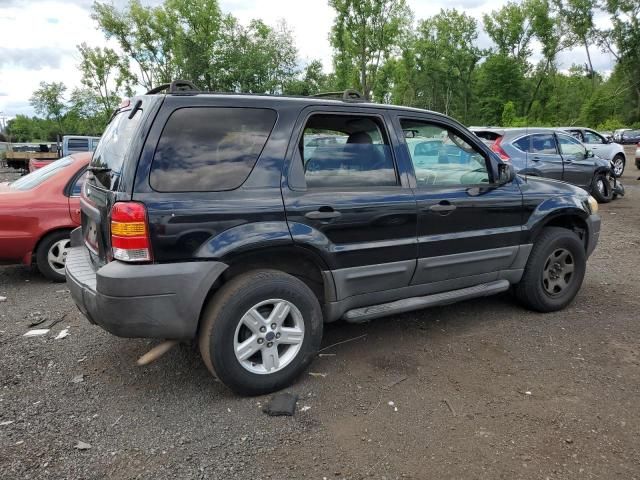 2007 Ford Escape XLT