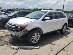 Ford Edge sel salvage cars for sale: 2013 Ford Edge SEL