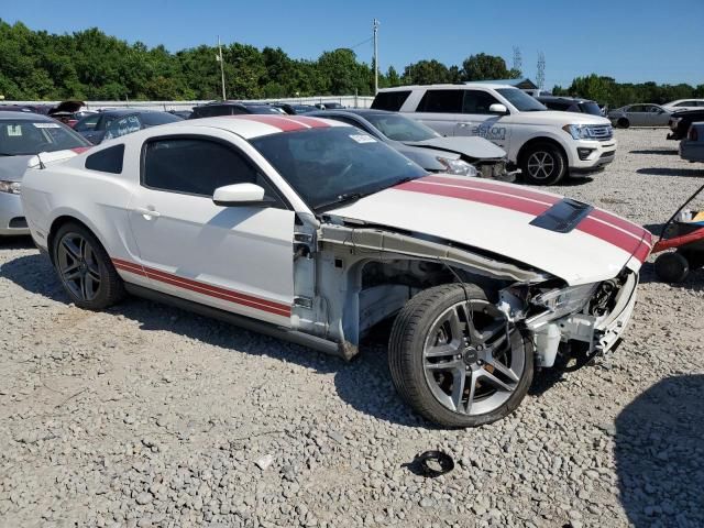 2010 Ford Mustang Shelby GT500