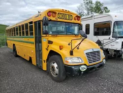 Blue Bird Vehiculos salvage en venta: 2013 Blue Bird School Bus / Transit Bus