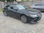 2023 Lexus ES 350 Base