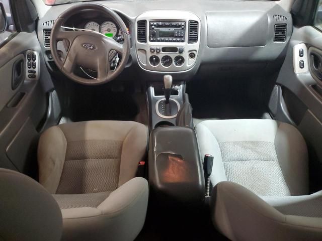 2006 Ford Escape XLT