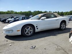 Salvage cars for sale at Exeter, RI auction: 2001 Pontiac Firebird