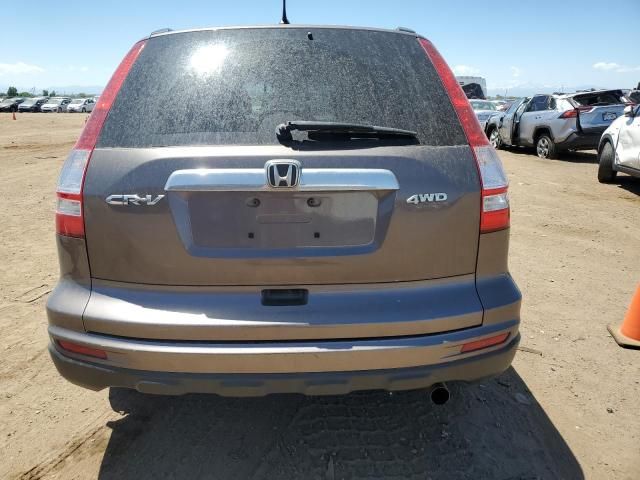 2010 Honda CR-V EX