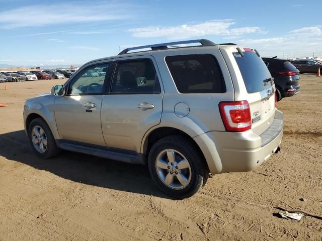 2012 Ford Escape Limited