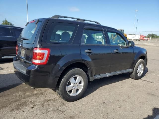 2011 Ford Escape XLS