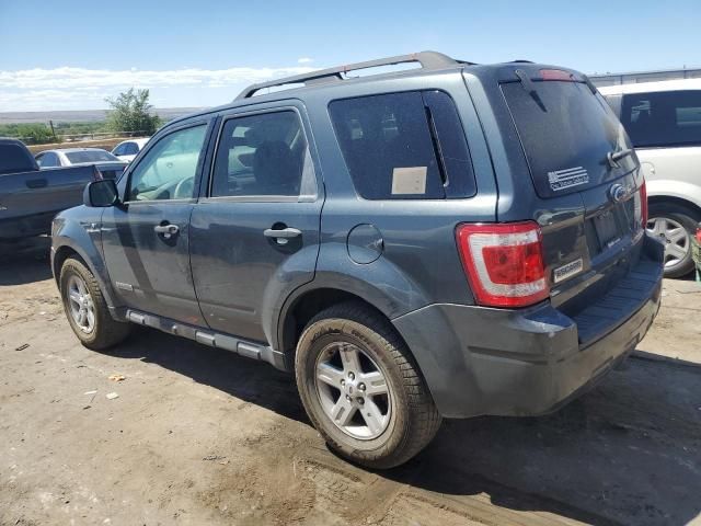 2008 Ford Escape HEV