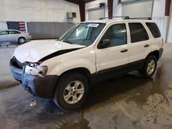 Salvage cars for sale at Avon, MN auction: 2007 Ford Escape XLT