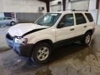 2007 Ford Escape XLT