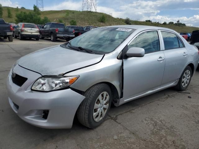 2010 Toyota Corolla Base