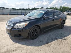 Salvage cars for sale at Lumberton, NC auction: 2013 Chevrolet Malibu 1LT