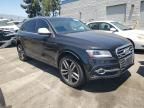 2014 Audi SQ5 Premium Plus