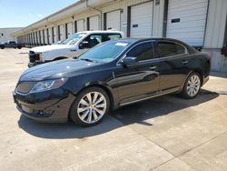 Salvage cars for sale at Louisville, KY auction: 2013 Lincoln MKS