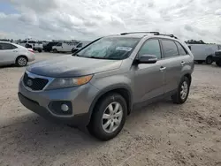 Salvage cars for sale at Houston, TX auction: 2011 KIA Sorento Base