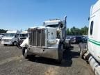 2016 Peterbilt 389