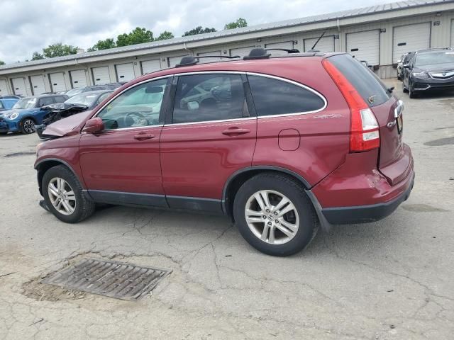 2010 Honda CR-V EXL