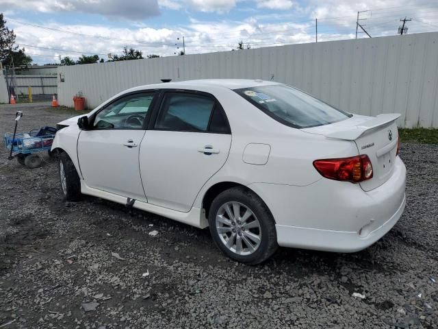 2010 Toyota Corolla Base