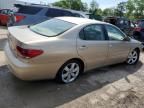 2006 Lexus ES 330